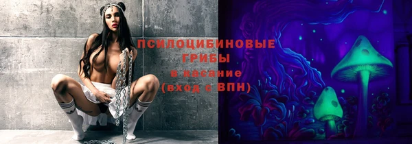 хмурый Богданович