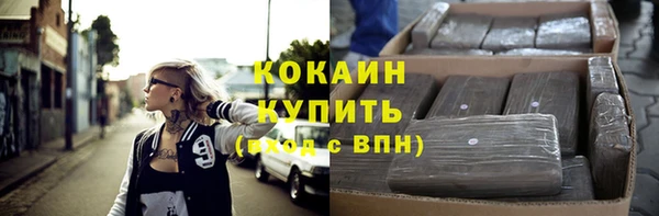 mix Богородицк