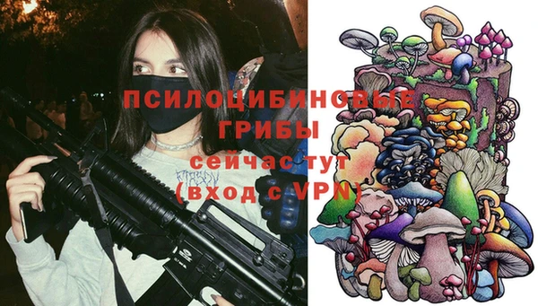 mix Богородицк